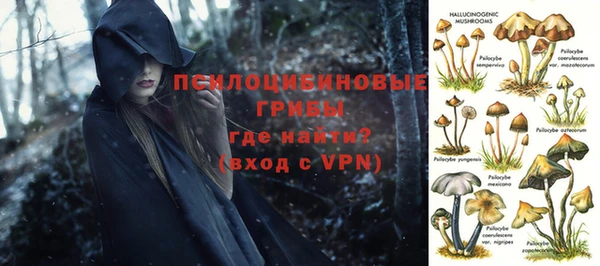 СК Алексин