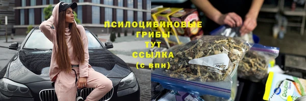 спиды Алексеевка